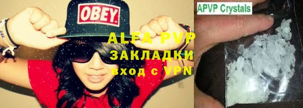 индика Богородицк