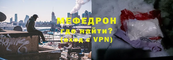индика Богородицк