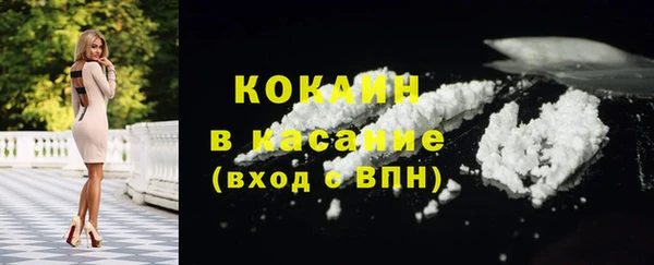 индика Богородицк