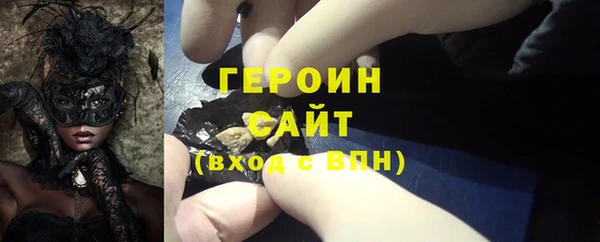 индика Богородицк