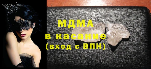 индика Богородицк