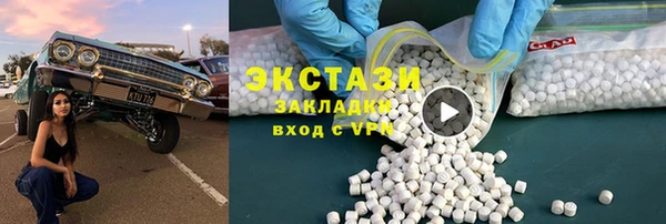 индика Богородицк