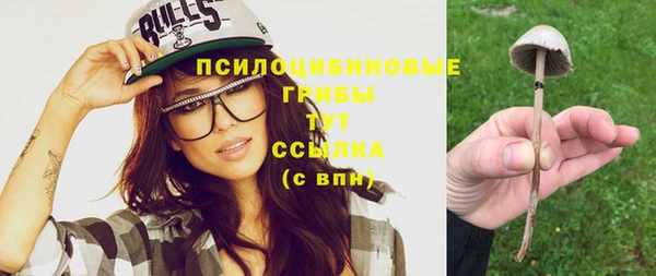 индика Богородицк