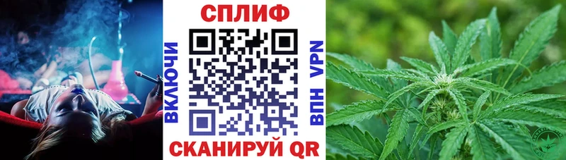 Бошки марихуана семена  купить  цена  Ворсма 